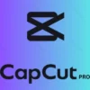Capcut Pro