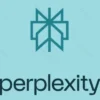 Perplexity