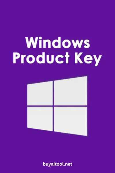 Key Windows Professional